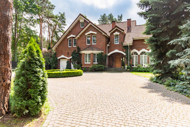 Best Driveway Repair Near Me  in Mount Ida, AR