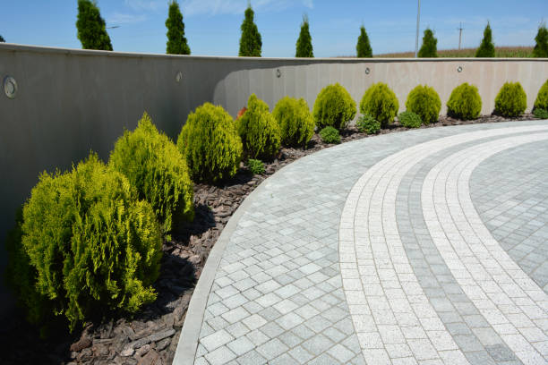 Best Interlocking Driveway Pavers  in Mount Ida, AR